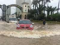 tai sao cac con bao duoc dat ten theo trinh tu ma sau bao son tinh lai la bao bebinca