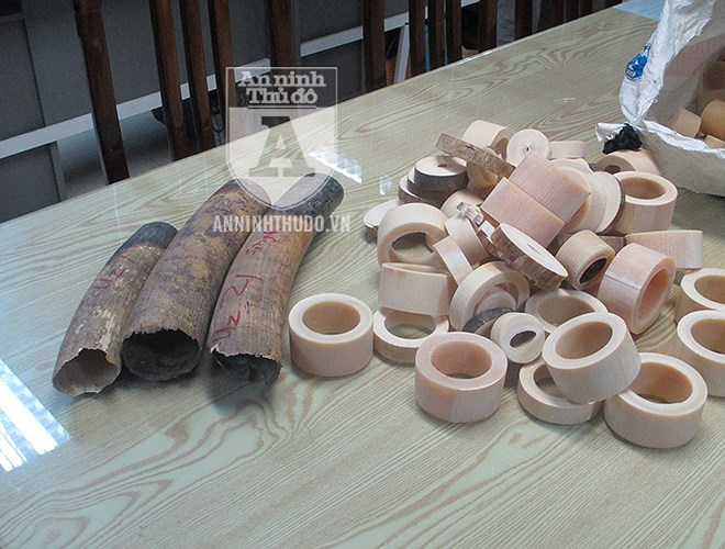 Cận cảnh lượng ngà voi 'khủng' vừa bị Công an TP Hà Nội thu giữ can canh luong nga voi khung vua bi cong an tp ha noi thu giu