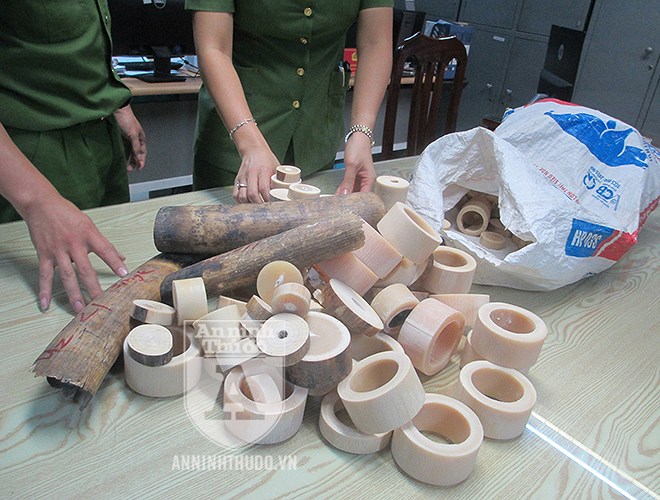 Cận cảnh lượng ngà voi 'khủng' vừa bị Công an TP Hà Nội thu giữ can canh luong nga voi khung vua bi cong an tp ha noi thu giu