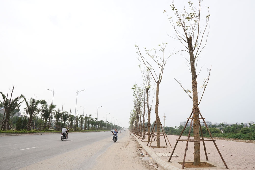 dan phoi thoc trong rau tren duong bt 5000 ti qua 4 quan huyen cua ha noi
