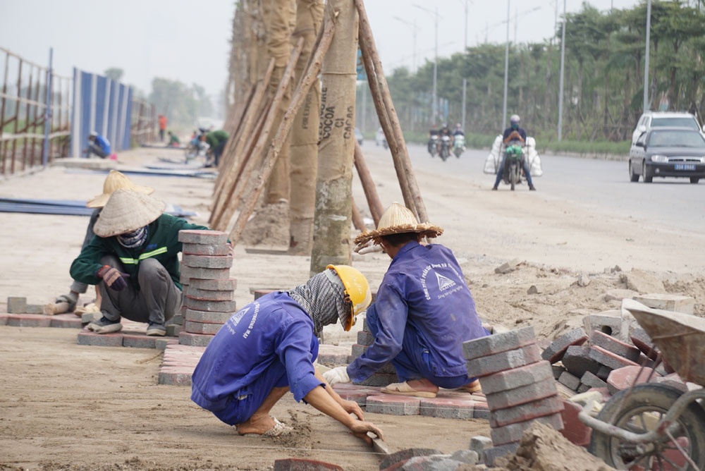 dan phoi thoc trong rau tren duong bt 5000 ti qua 4 quan huyen cua ha noi