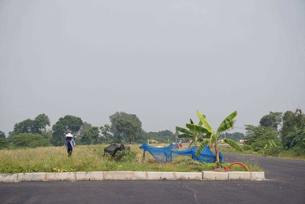 dan phoi thoc trong rau tren duong bt 5000 ti qua 4 quan huyen cua ha noi