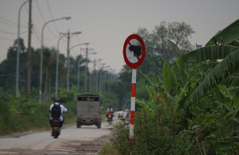 Học sinh ở Hà Nội phải 'vượt bùn lầy' đi học vì xe né trạm thu phí hoc sinh o ha noi phai vuot bun lay di hoc vi xe ne tram thu phi