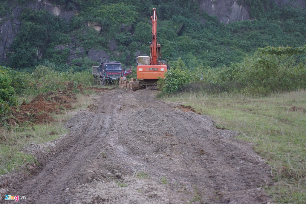 tieu huy dan lon o thanh hoa chet trong nuoc lu