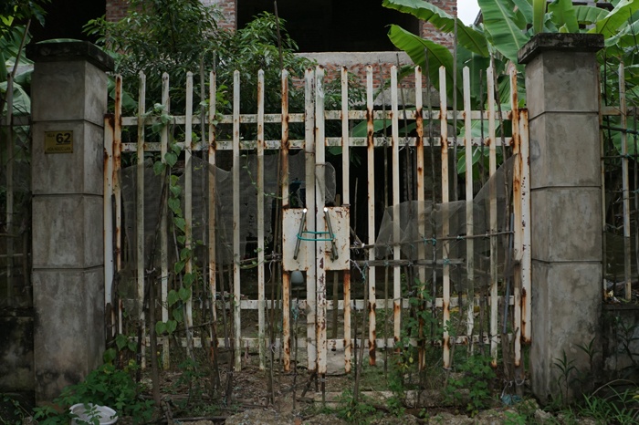 ha noi biet thu chuc ty thanh noi trong rau nuoi ga