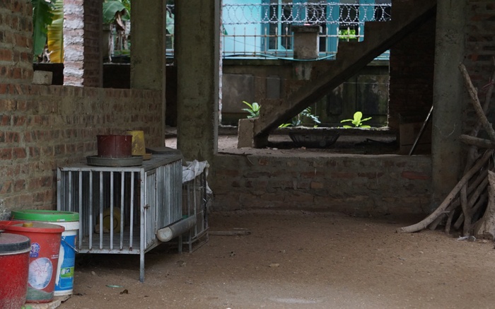 ha noi biet thu chuc ty thanh noi trong rau nuoi ga