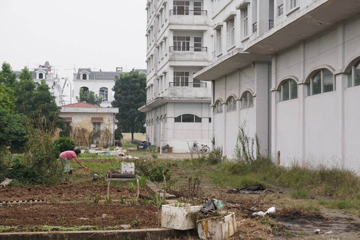 ha noi canh hoang tan o khu tai dinh cu bi chu dau tu xin pha bo