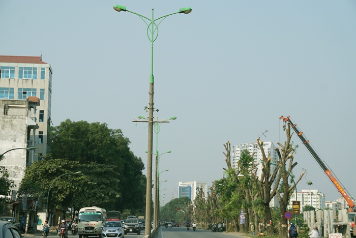 ha noi duong pham van dong la lam vi mat dan mau xanh