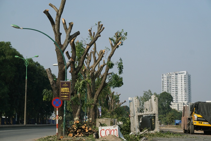 ha noi duong pham van dong la lam vi mat dan mau xanh