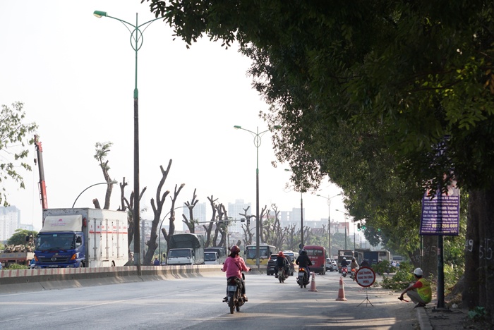 ha noi duong pham van dong la lam vi mat dan mau xanh
