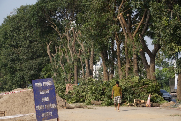 ha noi duong pham van dong la lam vi mat dan mau xanh