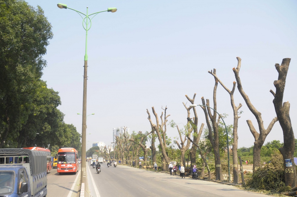 ha noi duong pham van dong la lam vi mat dan mau xanh