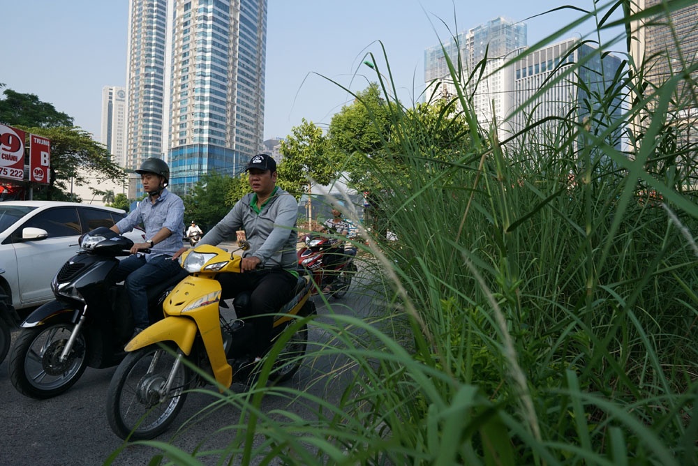 ha noi co moc cao qua dau nguoi di xe may tren pho