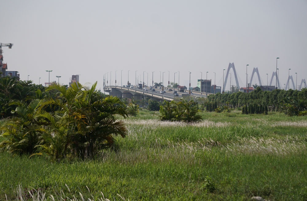 ha noi co moc cao qua dau nguoi di xe may tren pho