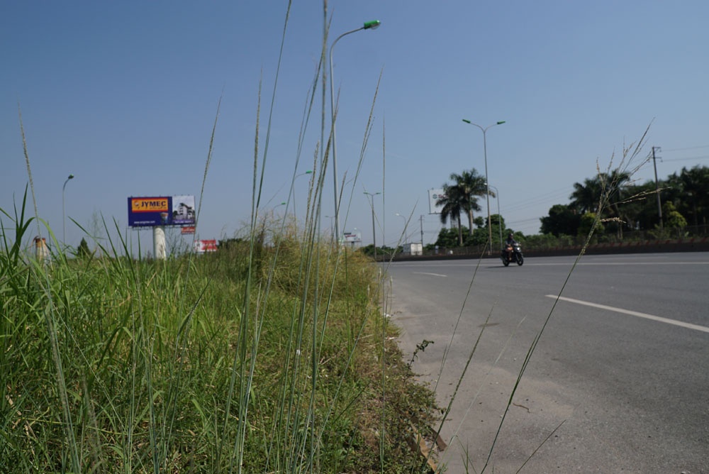 ha noi co moc cao qua dau nguoi di xe may tren pho