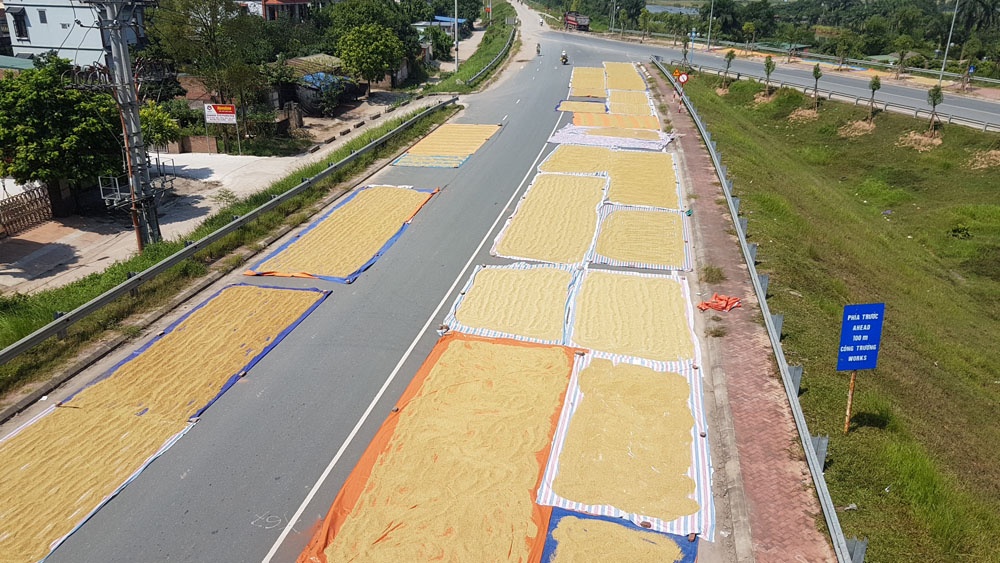 nguoi dan phoi lua kin duong duoi chan cau nhat tan ha noi