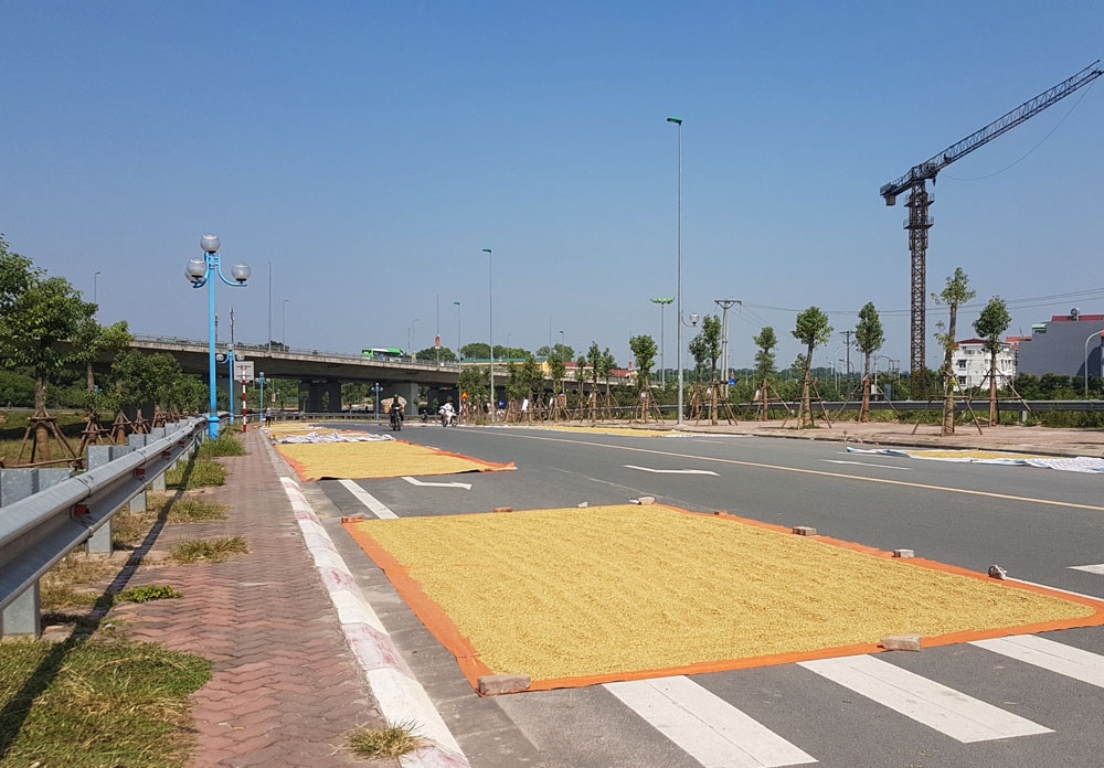 nguoi dan phoi lua kin duong duoi chan cau nhat tan ha noi