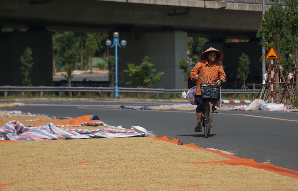 nguoi dan phoi lua kin duong duoi chan cau nhat tan ha noi