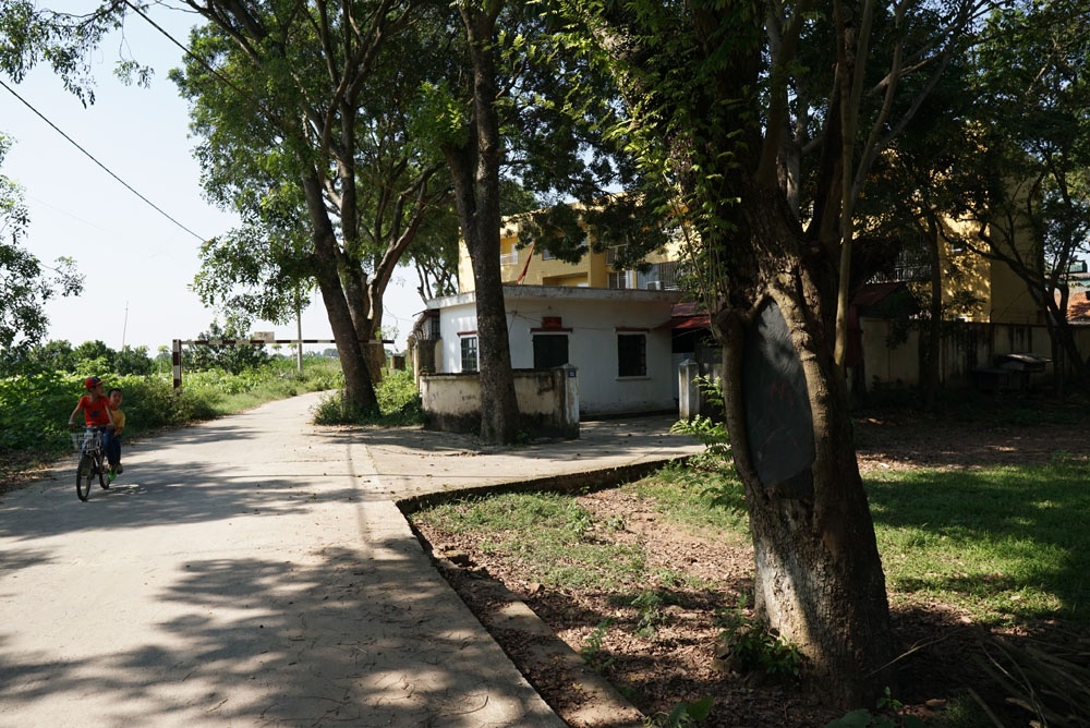 Công an xã lập chốt trực gác an ninh và bảo vệ cây sưa hàng chục tỉ đồng cong an xa lap chot truc gac bao ve cay sua hang chuc ti dong