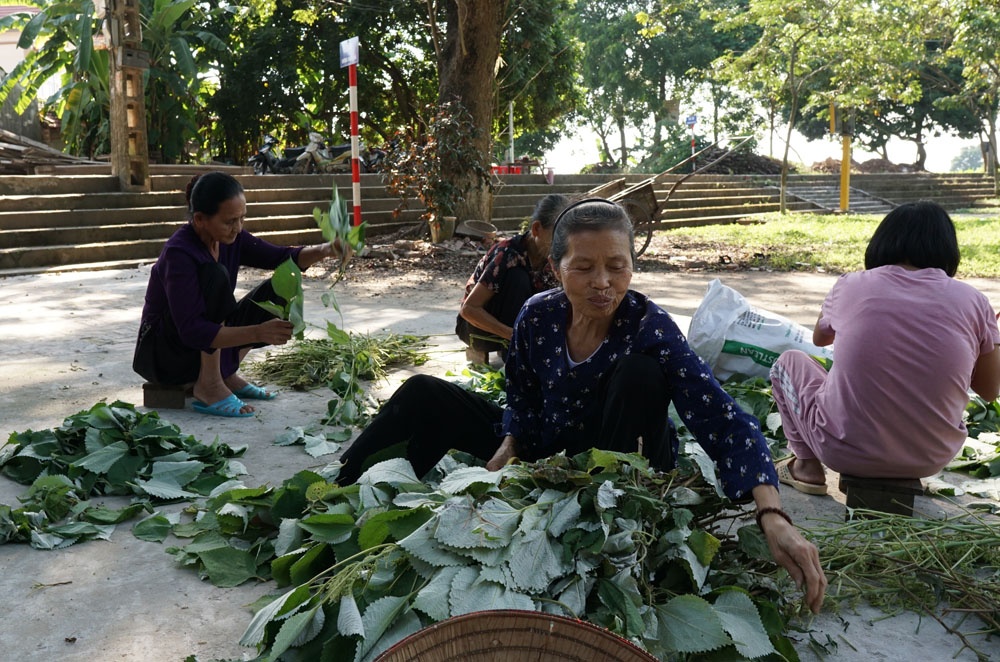 Công an xã lập chốt trực gác an ninh và bảo vệ cây sưa hàng chục tỉ đồng cong an xa lap chot truc gac bao ve cay sua hang chuc ti dong