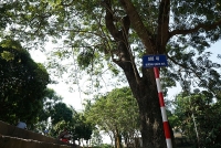 tin moi vu taxi o san bay da nang ngung don khach phan doi grab