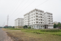 co dai moc cao ca met o khu do thi kim chung di trach