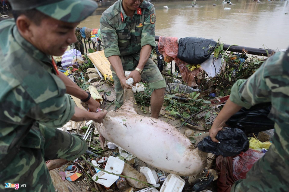 lu rut quan doi cung nguoi dan hoi an tat bat don ve sinh
