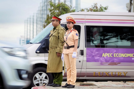 nhung bong hong apec