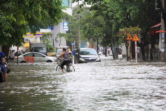 Sáng 26/11, TP HCM nhiều nơi vẫn ngập sâu, rác, nhánh cây gãy la liệt sang 2611 tp hcm nhieu noi van ngap sau rac nhanh cay gay la liet