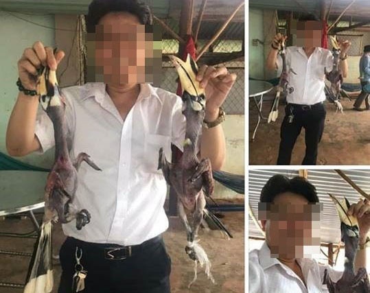 tin nong trong ngay 2611 phuot thu chan nga tu giam doc khoe an thit chim khong quy