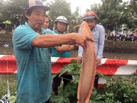 cong an nam dinh he lo ve vu nhom phuot chan nga tu