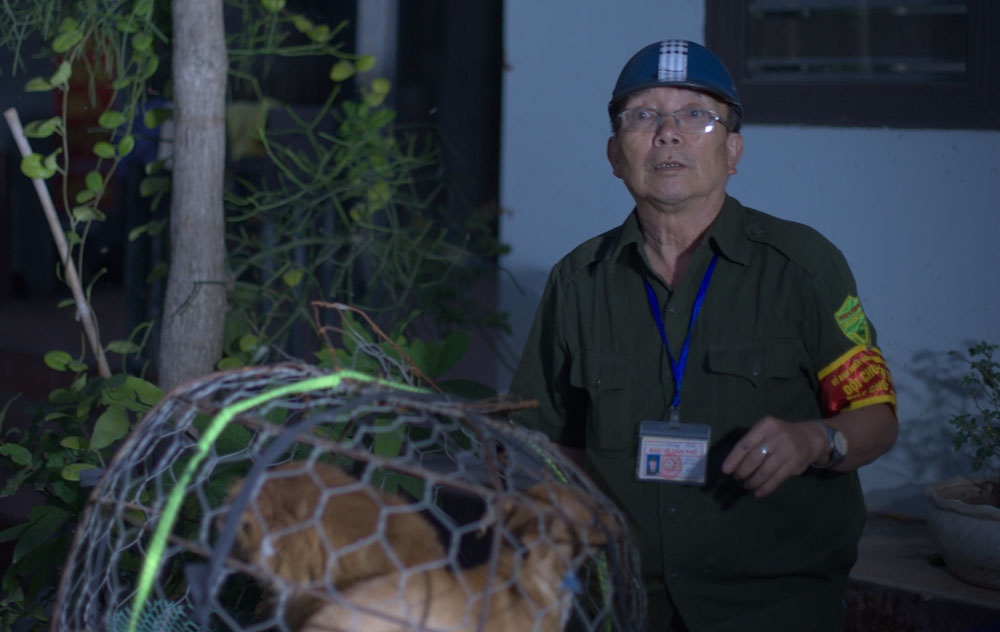 xem doi bat cho tha rong xu ly cau vang luc som tinh mo
