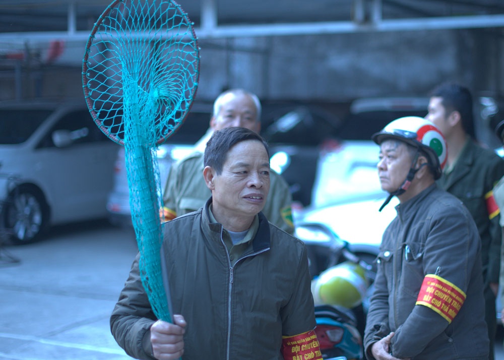 xem doi bat cho tha rong xu ly cau vang luc som tinh mo