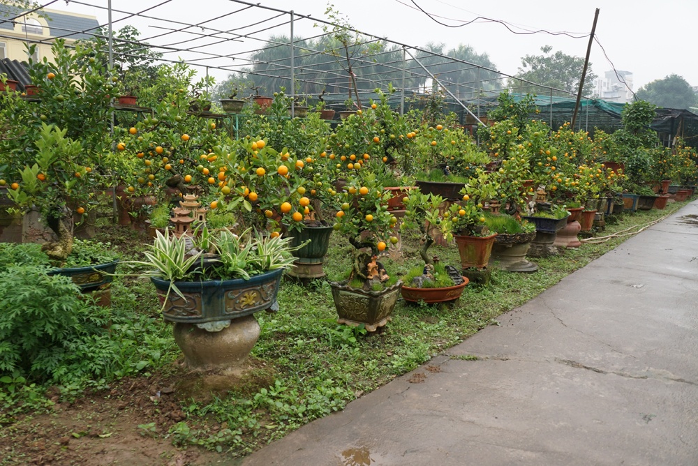 quat thang tien khong dung hang gia chuc trieu choi tet mau tuat o ha noi