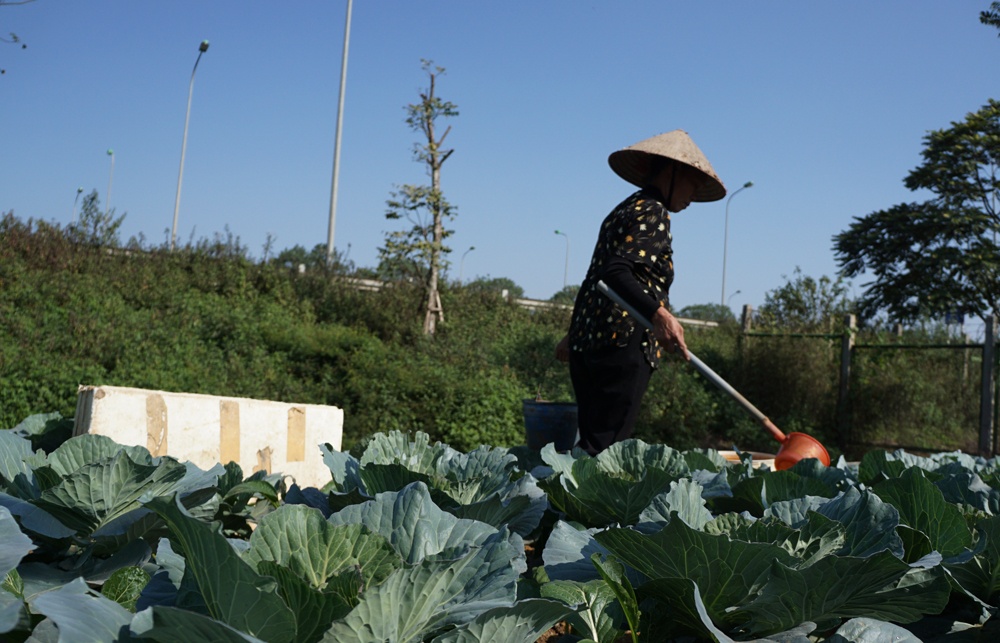 canh khai hoang canh tac tren dai lo thang long ngan ty