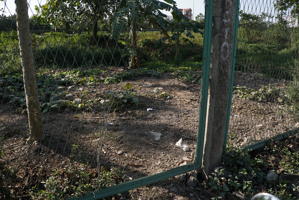 pha rao khai hoang tren dai lo thang long nay han mai cat pha