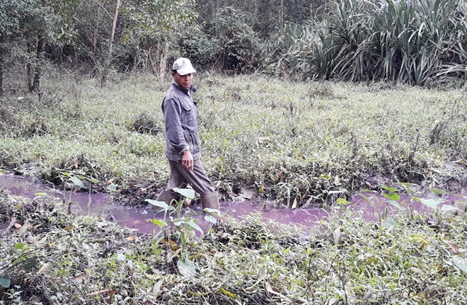 nha may vang ma xa nuoc thai mau tim hoi nong nac