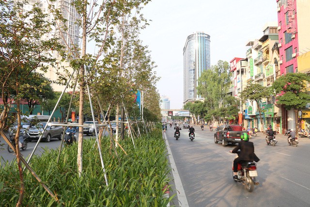 chu tich ha noi lan dau cong bo so tien chi de trong 1 trieu cay xanh