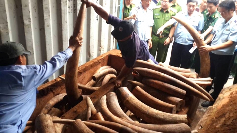 vach tran thu doan cua duong day chuyen buon lau nga voi xuyen quoc gia