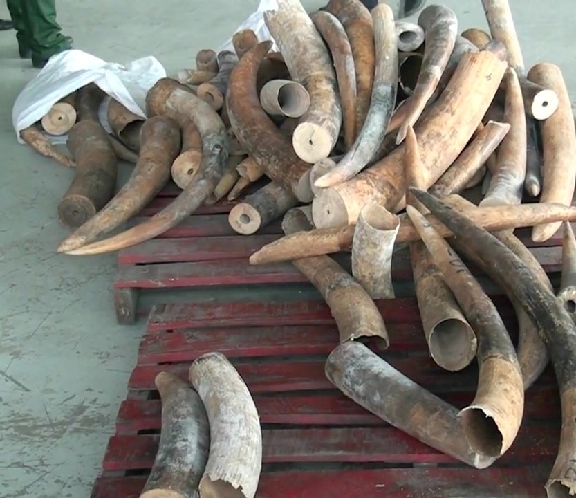vach tran thu doan cua duong day chuyen buon lau nga voi xuyen quoc gia