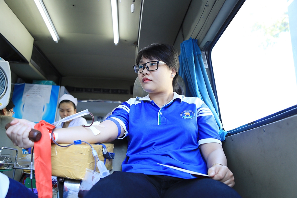 hoa hau do my linh cung hang nghin ban tre hien mau trong ngay chu nhat do