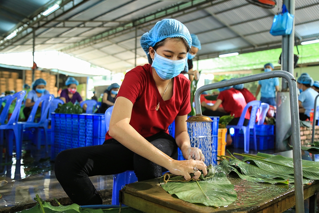 ong trum banh chung dua huong vi tet ra nuoc ngoai