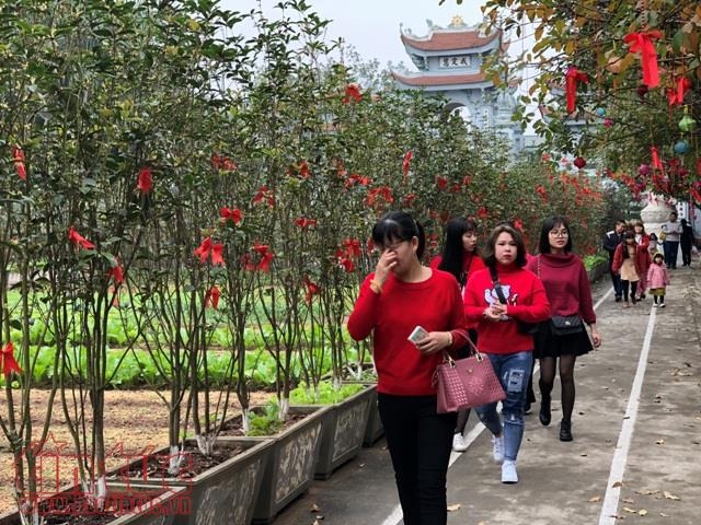 Đầu xuân, đường phố Hà Nội vắng vẻ, đình chùa đông đúc dau xuan duong pho ha noi vang ve dinh chua dong duc