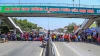 phap lo mat hinh anh vi dinh cong