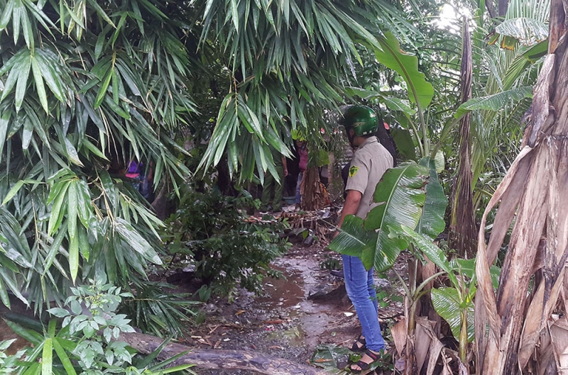 bat hung thu giet chet cu ong 67 tuoi o dong nai