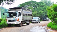 dan lan da ra duong chan oto ne tram bot