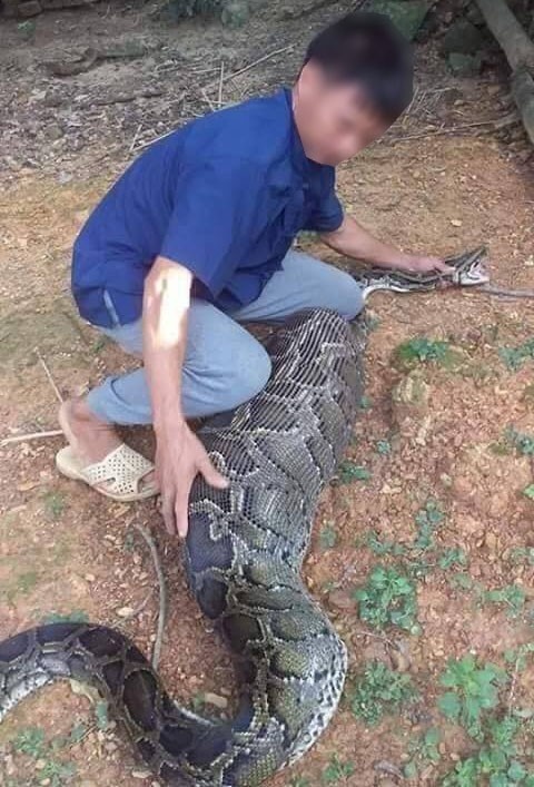 nguoi dan lang son bat song tran khong lo nuot de tren nui