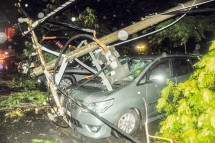 cay xanh do de vo nat kinh chan gio o to camry