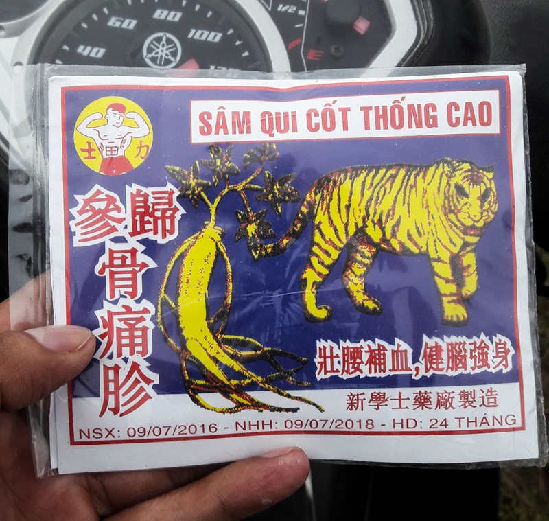 hanh trinh vach tran tro lua dao cua nhom than y dom