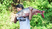 Người dân đổ xô bắt cá ‘khủng’ dưới chân đập hồ thuỷ điện Trị An
